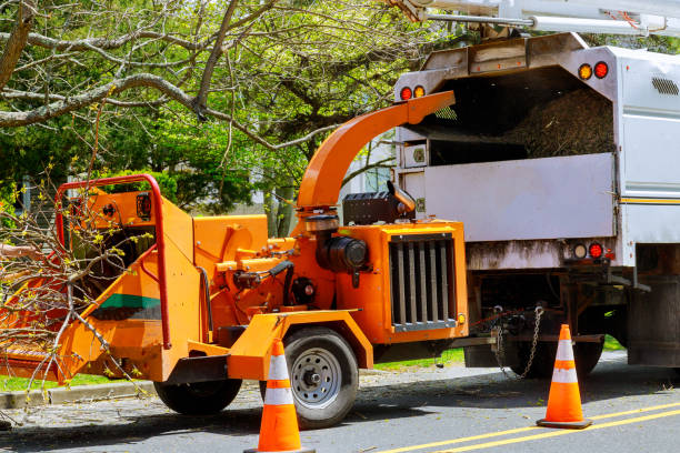 Reedsburg, WI Tree Removal and Landscaping Services Company